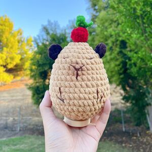 Capybara Crochet Plush | Chenille Amigurumi Capybara with Cherry Hat | Desk Gift